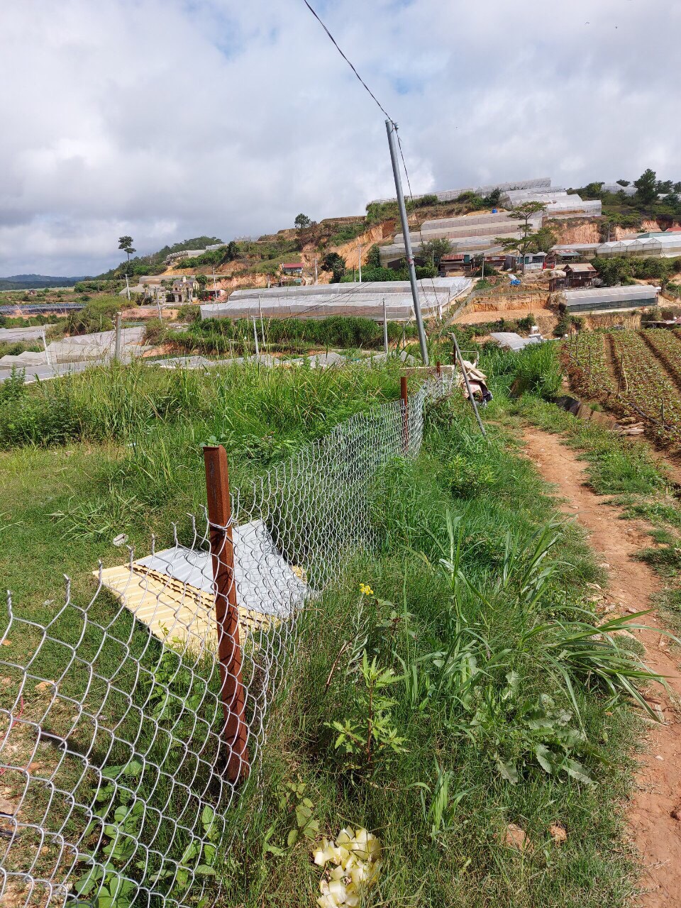 CHÍNH CHỦ CẦN BÁN NHANH LÔ ĐẤT NNPQ TẠI PHƯỜNG 7 – TP ĐÀ LẠT. LIÊN HỆ: 0839588890 11561516