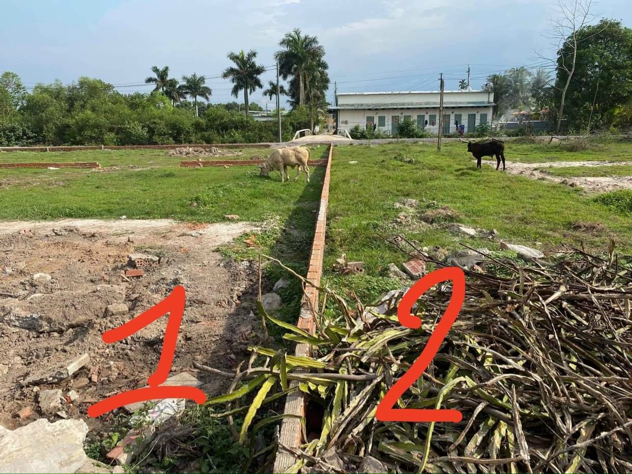 CƠ HỘI TỐT ĐỂ SỞ HỮU 1 TRONG 2 LÔ ĐẤT ĐẸP TẠI XÃ HÒA KHÁNH ĐÔNG - H.ĐỨC HÒA -TỈNH LONG AN . 11561520