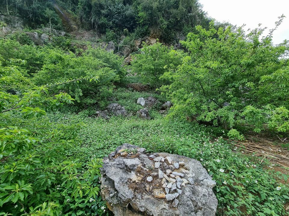 CHÍNH CHỦ BÁN 3850M2 ĐẤT CẠNH KHU RỪNG THÔNG BẢN ÁNG, HUYỆN MỘC CHÂU, TỈNH SƠN LA. LH: 0965468266 11563718