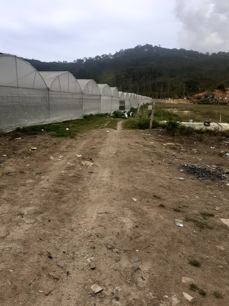 CẦN BÁN 18HA ĐẤT VIEW NGHỈ DƯỠNG MẶT TIỀN ĐƯỜNG NHỰA GẦN KHU DU LỊCH BIDUP 11565600