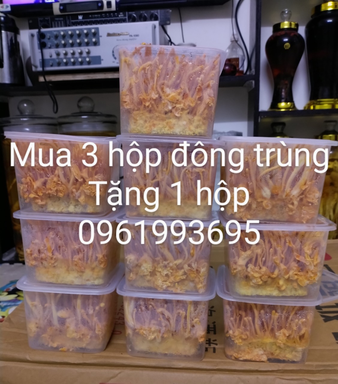 CHUYÊN CUNG CẤP CÁC LOẠI RƯỢU RỪNG TÂY BẮC VÀ TÂY NGUYÊN, CHUYÊN CUNG CẤP CHUM SÀNH BÁT TRÀNG, BÌNH 11566367