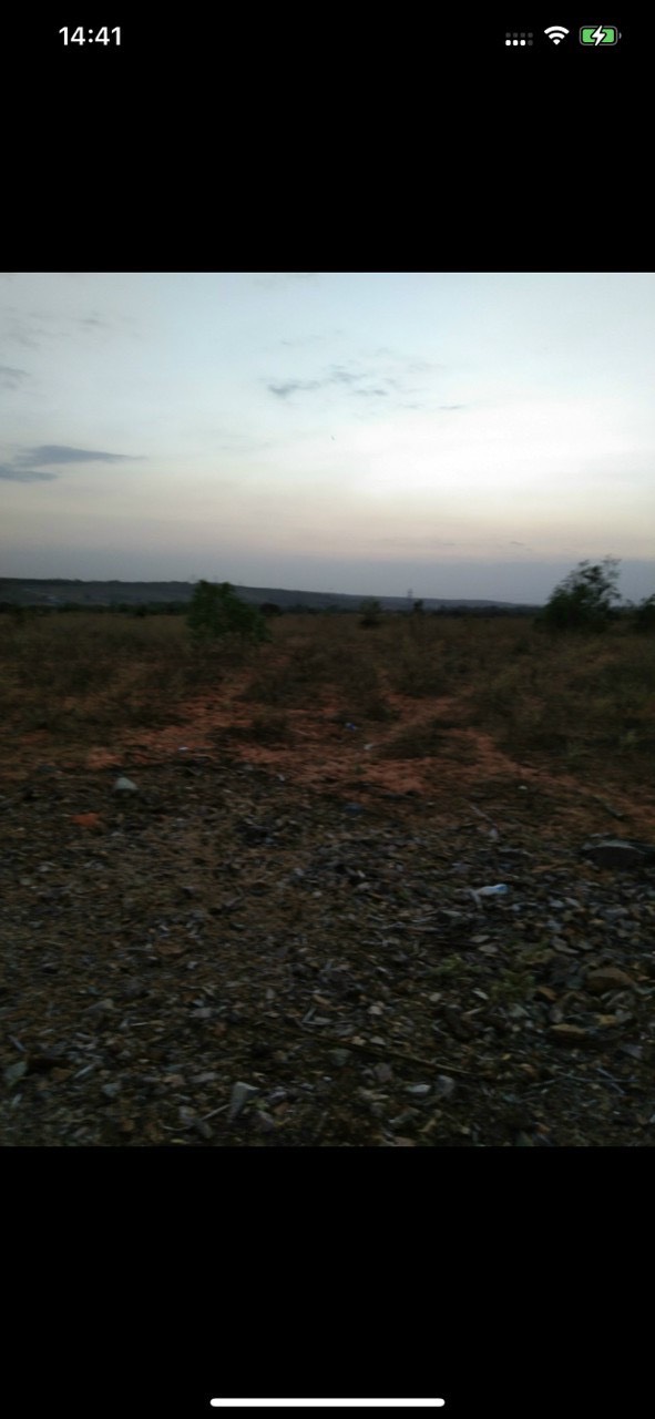 CẦN SANG NHƯỢNG 20HA ĐẤT TẠI XÃ HỒNG PHONG, BẮC BÌNH, BÌNH THUẬN. 11570022