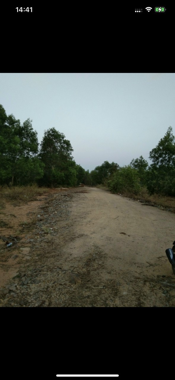 CẦN SANG NHƯỢNG 20HA ĐẤT TẠI XÃ HỒNG PHONG, BẮC BÌNH, BÌNH THUẬN. 11570022