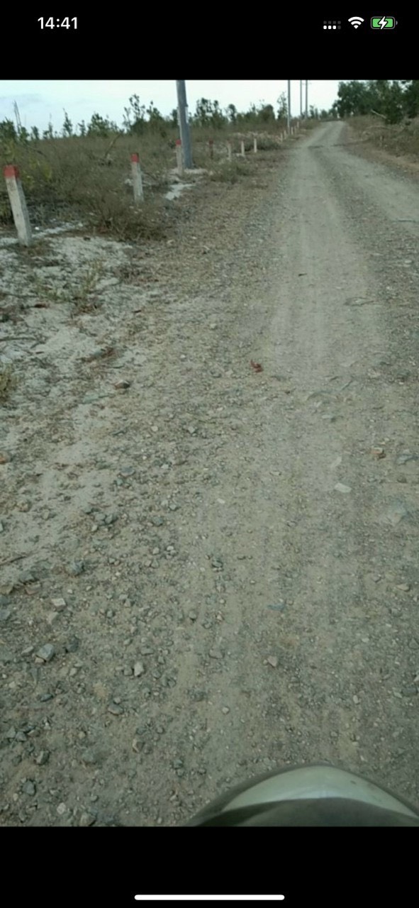 CẦN SANG NHƯỢNG 20HA ĐẤT TẠI XÃ HỒNG PHONG, BẮC BÌNH, BÌNH THUẬN. 11570022