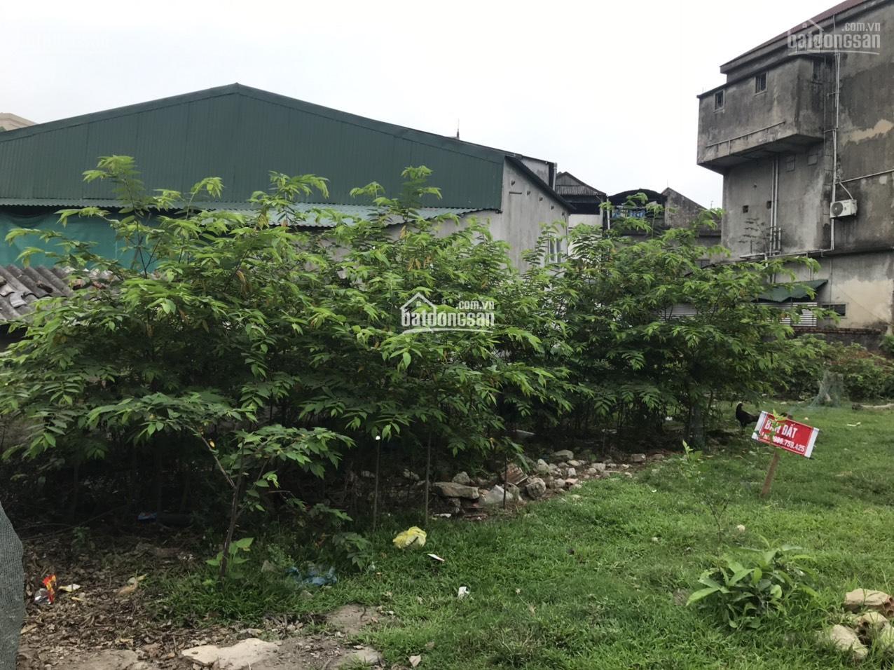 BÁN ĐẤT GẦN VINCOM PLAZA, P.HÀ HUY TẬP, TP HÀ TĨNH - 368M2 CHỈ 2. X TỶ. LH: 0986.759.425 CHÍNH CHỦ 11570173