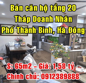 Bán căn hộ tầng 20 Tháp Doanh Nhân, Phố Thanh Bình, Quận Hà Đông 11573829