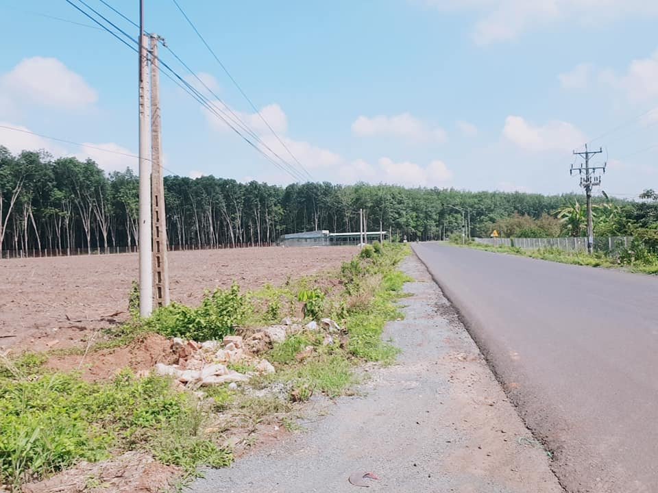 ( CỰC HOT) CHỈ VỚI 695 TR ĐÃ SỞ HỮU LÔ ĐẤT 222.5M2- VỊ TRÍ ĐẮC ĐỊA TẠI CHƠN THÀNH, BÌNH PHƯỚC 11580603