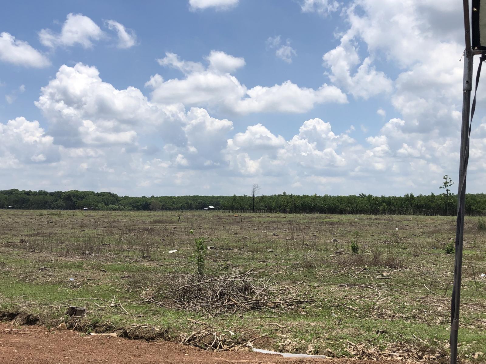 CẦN BÁN GẤP ĐẤT GIÁP CHỦ VỊ TRÍ ĐẮC ĐỊA KHU CÔNG NGHIỆP 33 LỘC NINH, BÌNH PHƯỚC 11589951