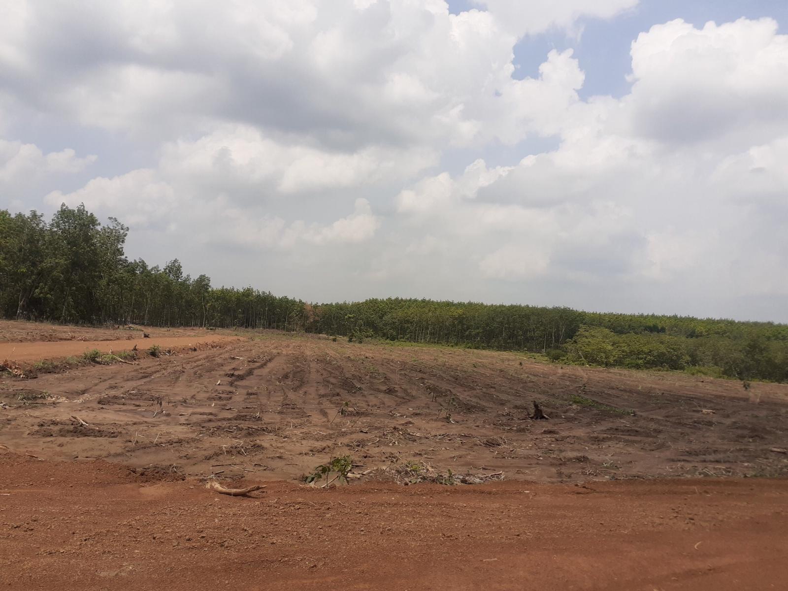 CẦN BÁN GẤP ĐẤT GIÁP CHỦ VỊ TRÍ ĐẮC ĐỊA KHU CÔNG NGHIỆP 33 LỘC NINH, BÌNH PHƯỚC 11589951