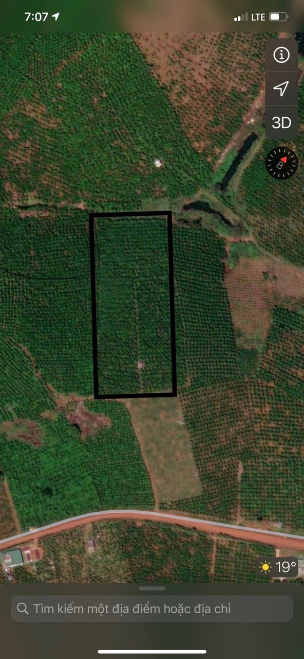 CẦN BÁN 9 SÀO ĐẤT CÀ PHÊ ĐƯỜNG SỐ 21 LỘC QUẢNG. BẢO LÂM, LÂM ÐỒNG 11598826