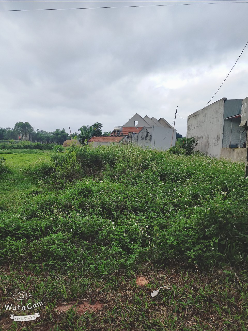 CHÍNH CHỦ CẦN BÁN GẤP LÔ ĐẤT ĐẸP THÔN ĐÔNG SƠN, XÃ TÂN BÌNH, HUYỆN ĐẦM HÀ, QUẢNG NINH 11599663