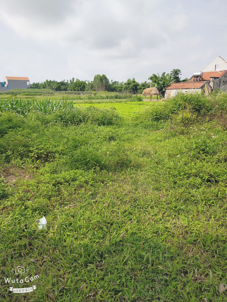 CHÍNH CHỦ CẦN BÁN GẤP LÔ ĐẤT ĐẸP THÔN ĐÔNG SƠN, XÃ TÂN BÌNH, HUYỆN ĐẦM HÀ, QUẢNG NINH 11599663