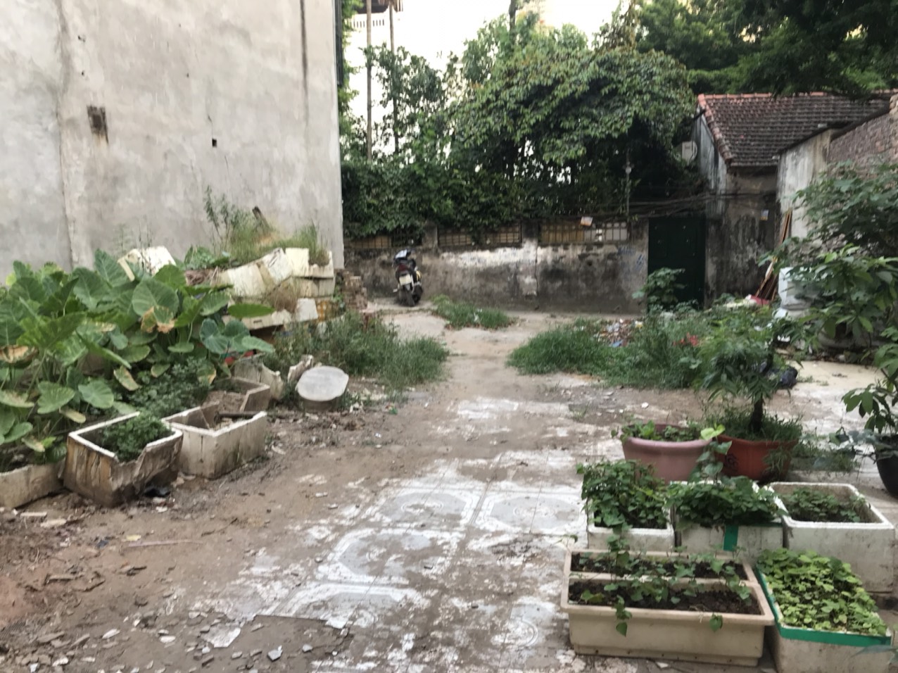 Bán đất nền số nhà 3 ngõ 99 đường Âu Cơ, phường Tứ Liên, Quận Tây Hồ, Hà Nội 11602862