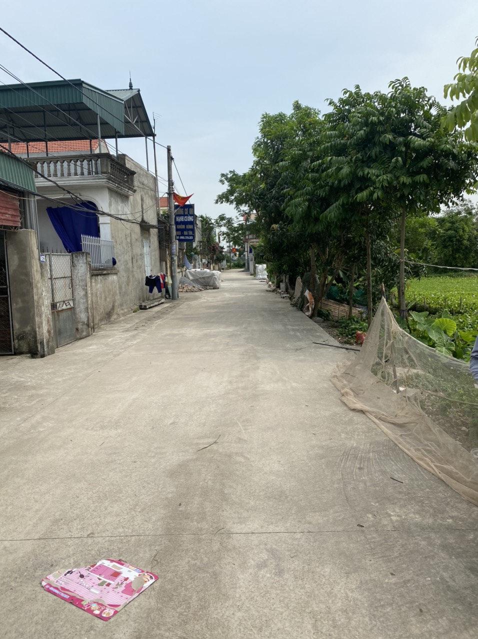 CHÍNH CHỦ CẦN BÁN MẤY LÔ ĐẤT ĐẸP TẠI PHÚ XUYÊN, HÀ NỘI !!! 11603651