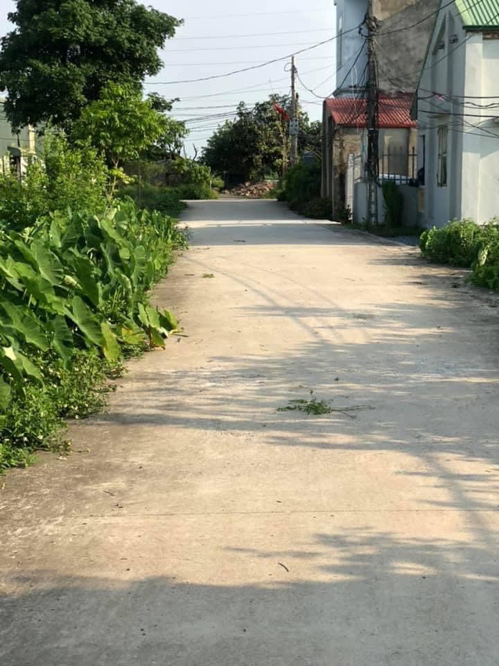 CHÍNH CHỦ CẦN BÁN MẤY LÔ ĐẤT ĐẸP TẠI PHÚ XUYÊN, HÀ NỘI !!! 11603651