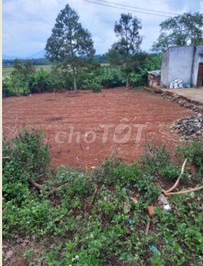 Đất sổ đỏ 520 m2 (14x38) Đường Văn Cao, Trà Đa 11609138