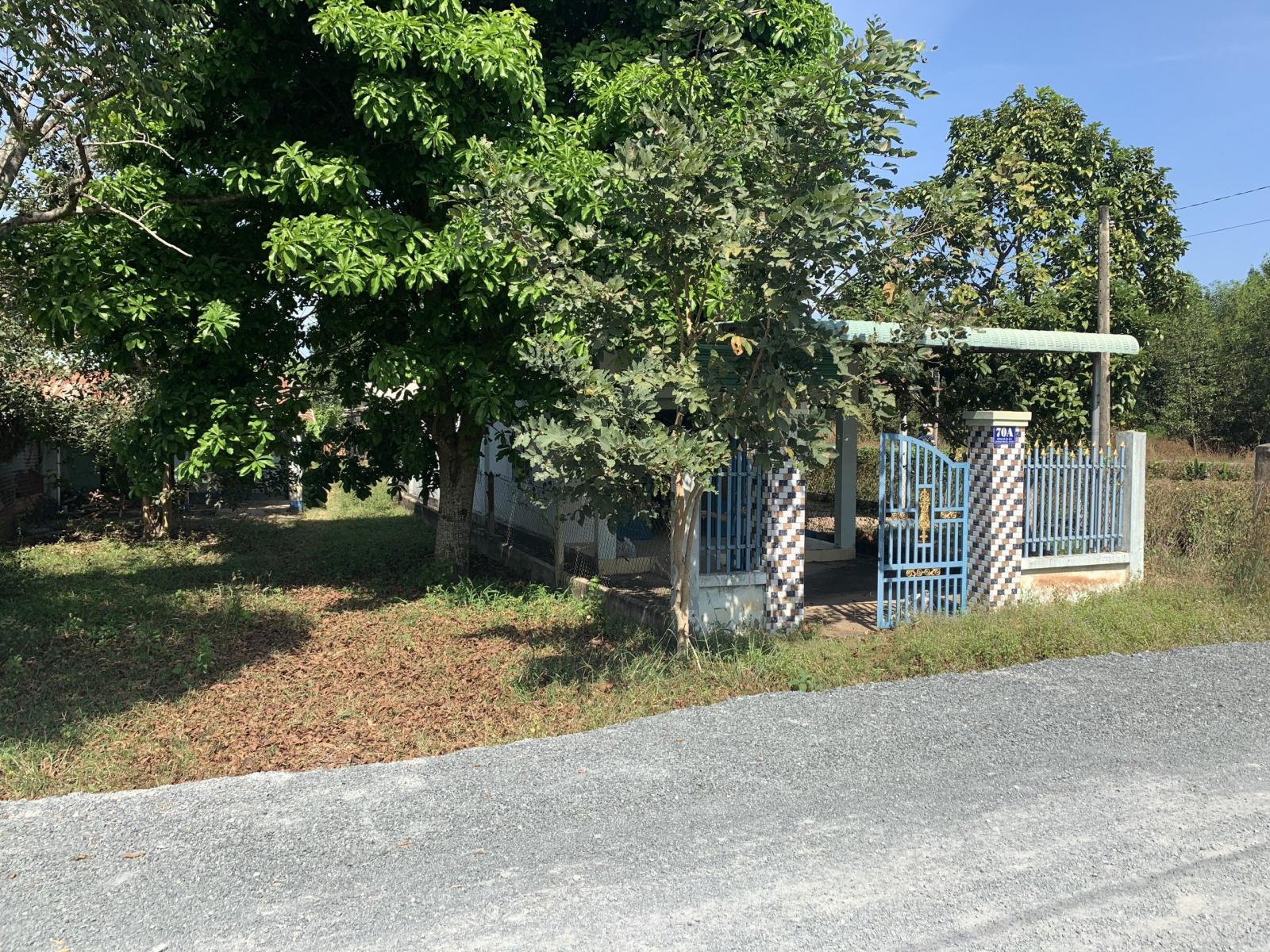 Bán nhà MT đường 498, Xã Phạm Văn Cội, Huyện Củ Chi. 11609994