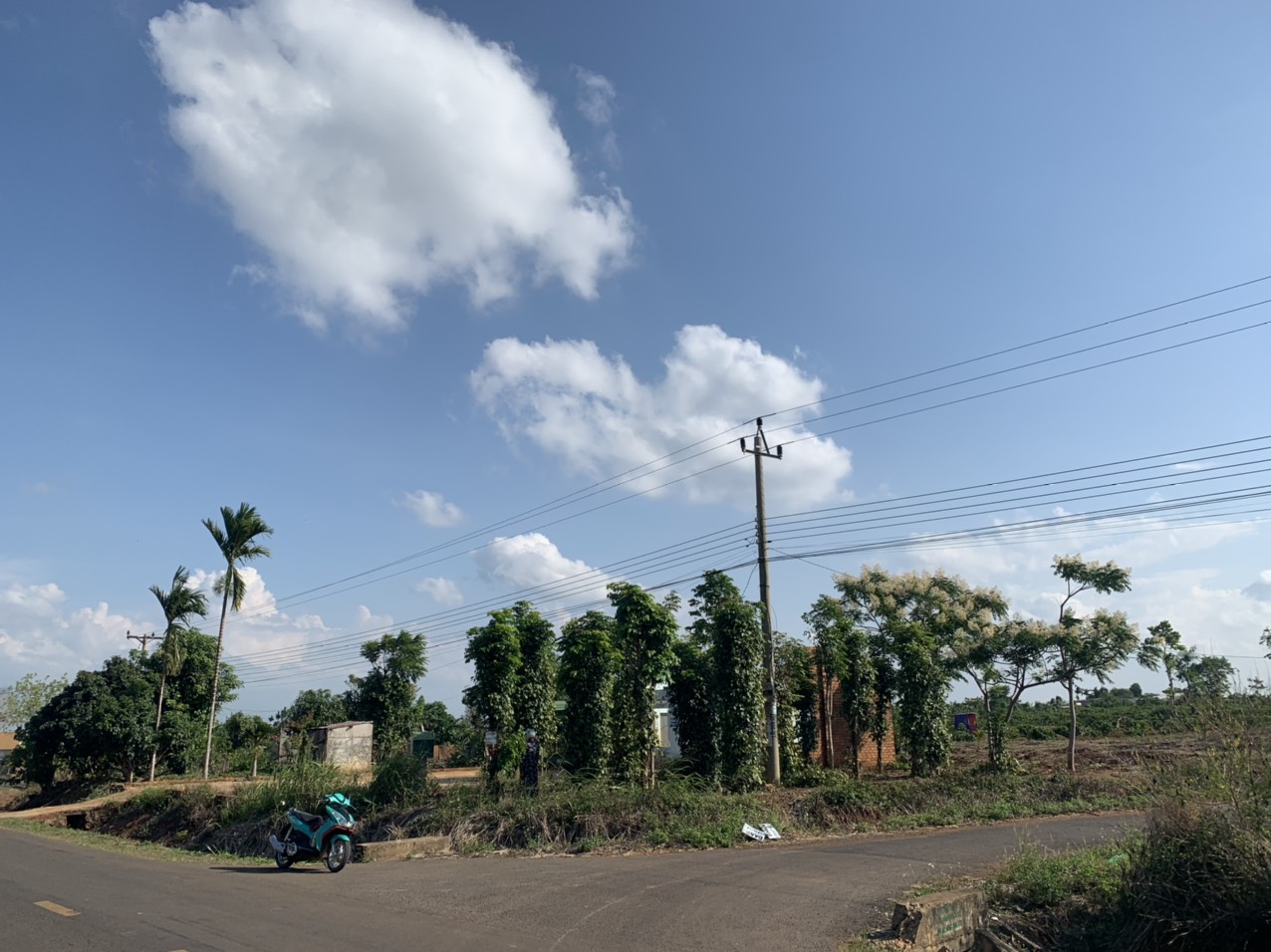 CẦN TIỀN BÁN GẤP LÔ ĐẤT SIÊU ĐẸP 2 MẶT TIỀN QUỐC LỘ 29. GIÁ TỐT NHẤT THI TRƯỜNG. - CẦN BÁN LÔ ĐẤT 2 11618891