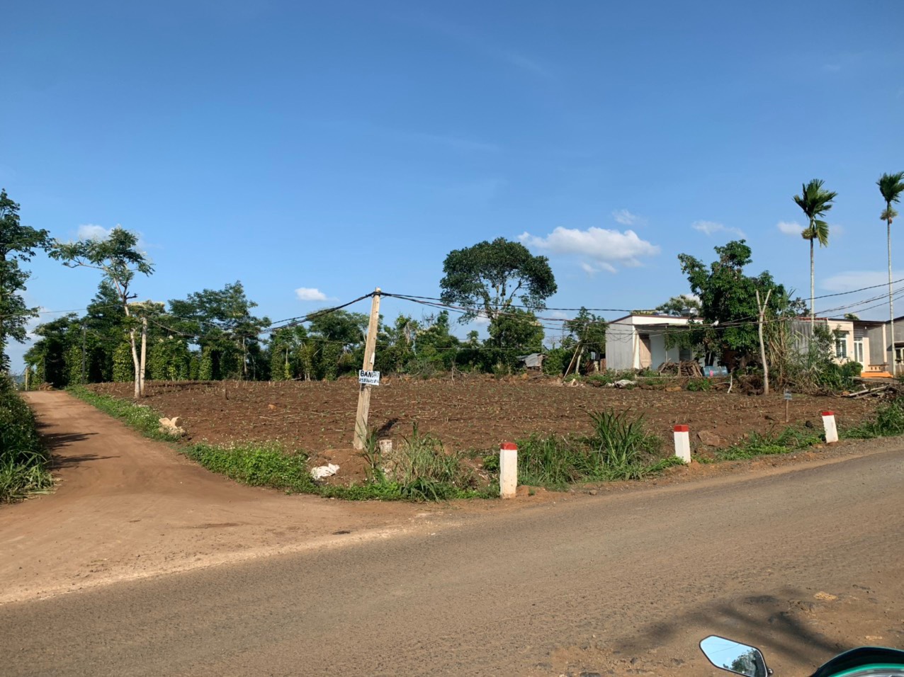 CẦN TIỀN BÁN GẤP LÔ ĐẤT SIÊU ĐẸP 2 MẶT TIỀN QUỐC LỘ 29. GIÁ TỐT NHẤT THI TRƯỜNG. - CẦN BÁN LÔ ĐẤT 2 11618891