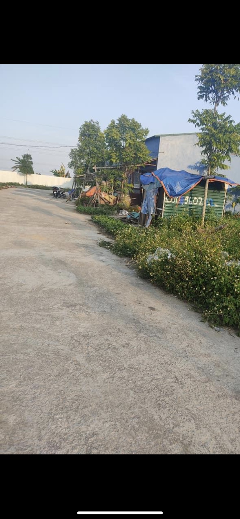 CHÍNH CHỦ CẦN TIỀN BÁN GẤP LÔ ĐẤT GIÁ ĐẦU TƯ MBQH SỐ 9449 , PHƯỜNG QUẢNG THÀNH, TP THANH HÓA 11624263