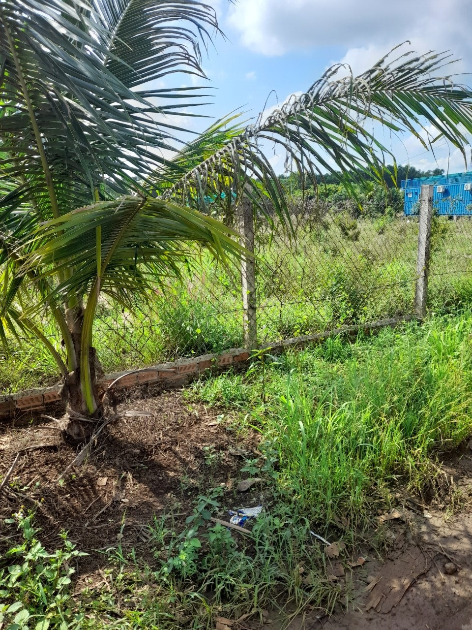 CHÍNH CHỦ CẦN BÁN ĐẤT NỀN Ở ĐỒNG NAI 11626344