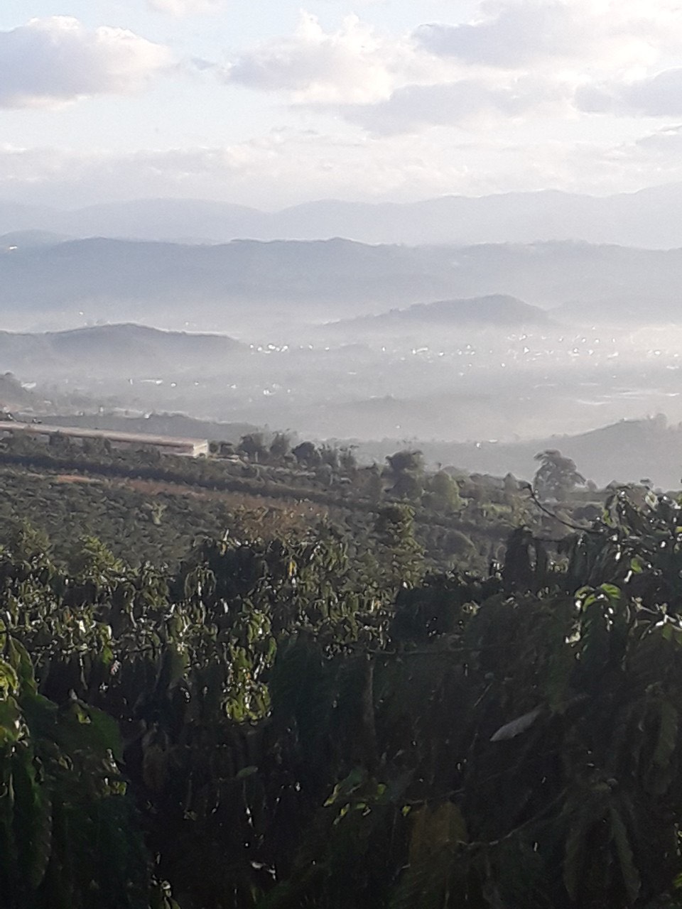 CẦN BÁN 6 LÔ ĐẤT LIỀN KỀ VIEW SÔNG ĐẠ DÂNG TẠI TÂN HÀ – LÂM HÀ. LIÊN HỆ: 0941422345 11627360