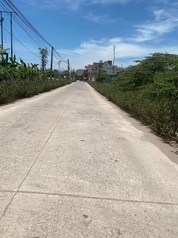 Bán đất Tiểu khu Đại Nam - Phú Xuyên - Hà Nội 11632561