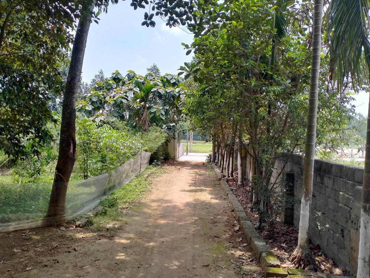 CHÍNH CHỦ CẦN BÁN ĐẤT THẠCH THẤT 11641224