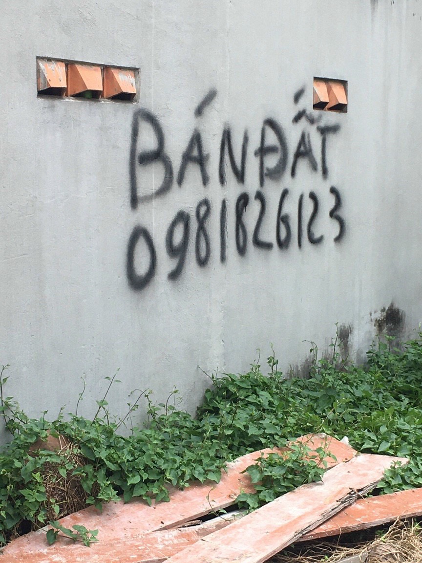 CHÍNH CHỦ CẦN BÁN LÔ ĐẤT ĐƯỜNG HOÀNG BẬT ĐẠT CÒN LÔ DUY NHẤT (CHẤM VÀNG) 11646616