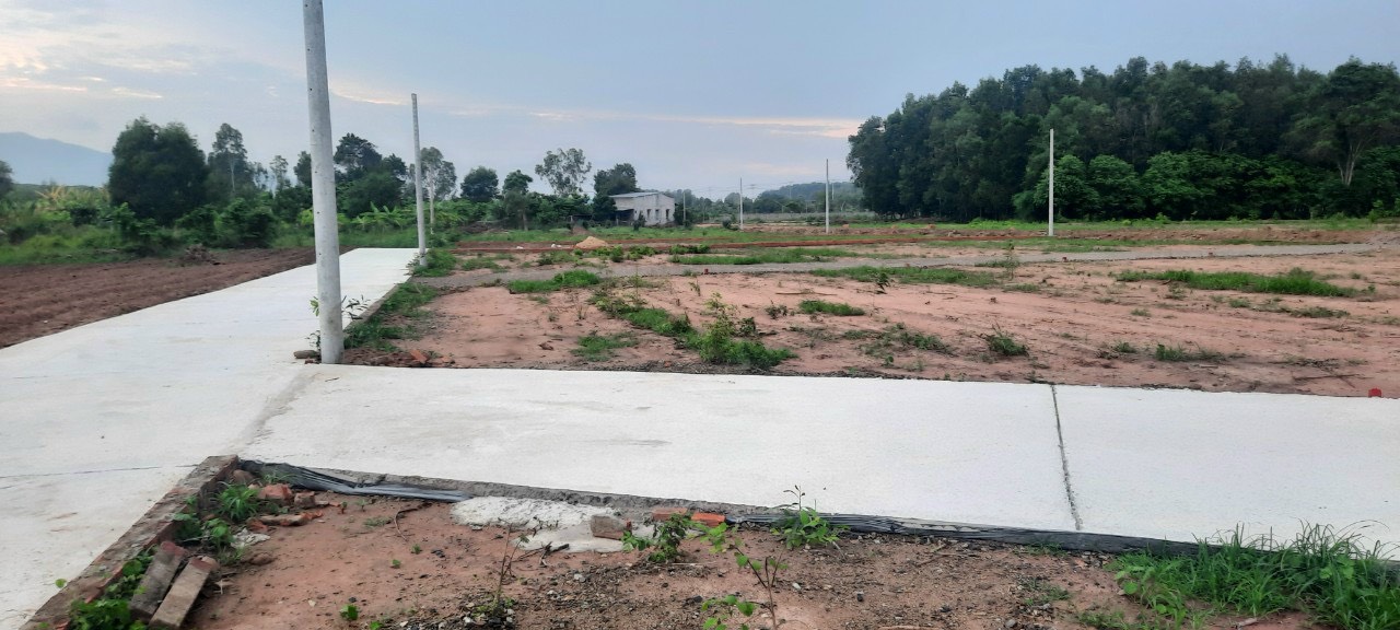 LÔ ĐẤT MẶT TIỀN ĐƯỜNG NHỰA NHÀ NƯỚC 20M, THỔ CƯ 100M2 CHO VỊ TRÍ LIỀN KỀ KCN SONADEZI HƠN 2.000 11666673