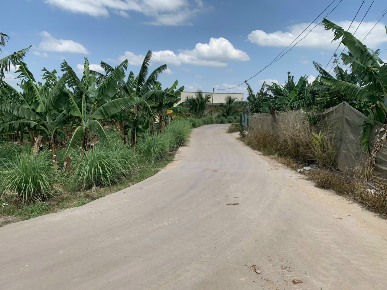 BÁN LÔ ĐẤT ĐẸP HẺM CÂY SỐ 5, LIÊN HIỆP, ĐỨC TRỌNG, LÂM ĐỒNG 11667940