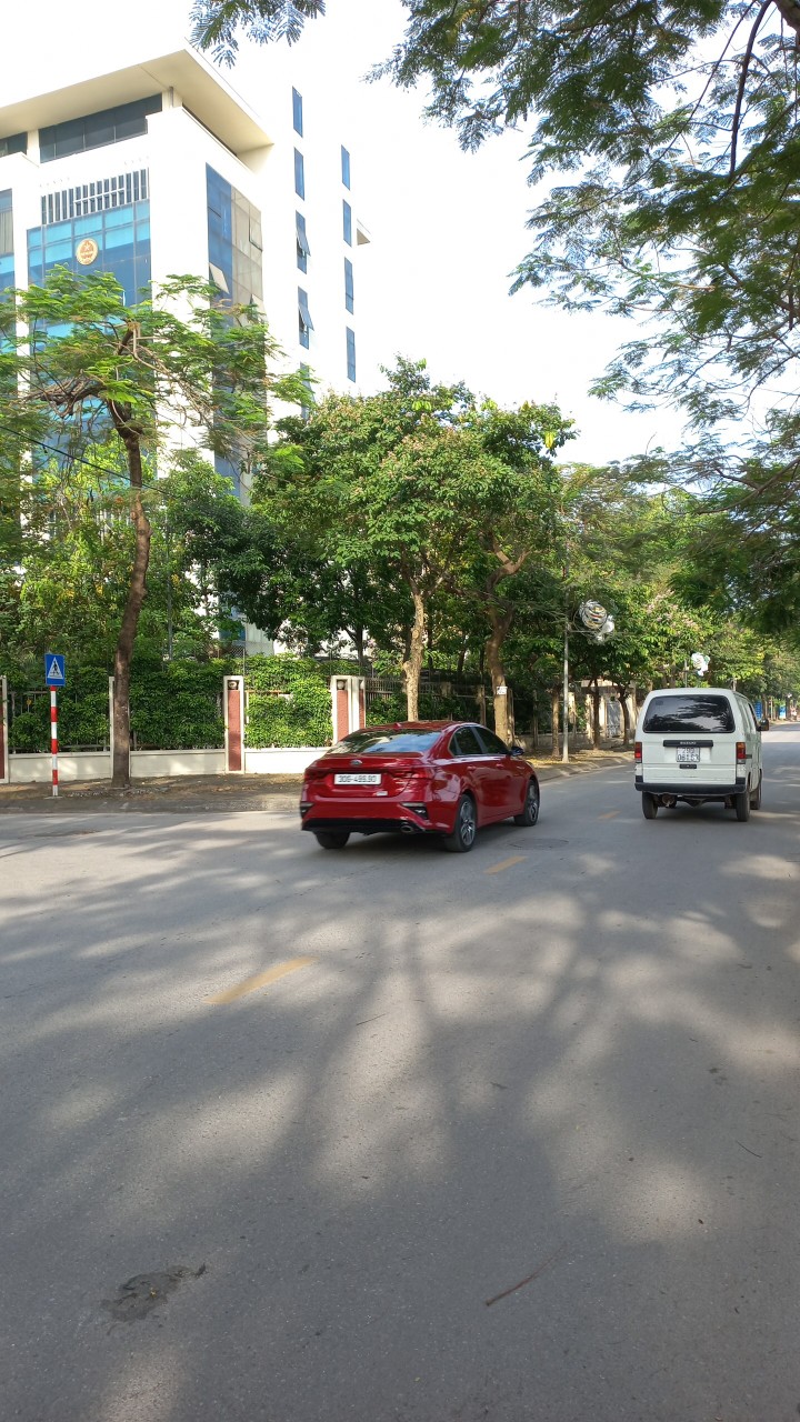 HÀNG HIẾM CỦA MÙA COVID 11669975