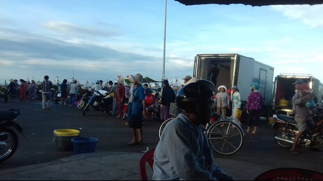 Cần Bán Lô Đất Đối Diện Cảng Cá Phan Rí Cửa  95,72 m2 Huyện Tuy Phong, Bình Thuận. 11680956