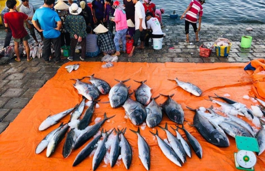 Cần Bán Lô Đất Đối Diện Cảng Cá Phan Rí Cửa  95,72 m2 Huyện Tuy Phong, Bình Thuận. 11680956