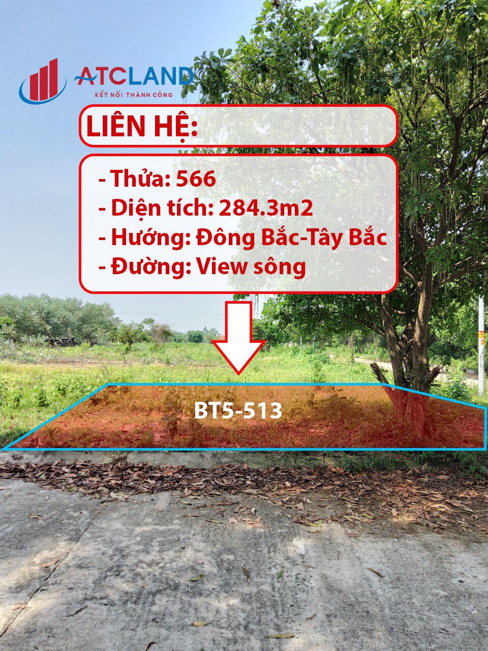 Đất nền có sổ đỏ giá rẻ tại dự án Nam Xuân Hòa, gần dự án TMS Phúc Yên 11689694