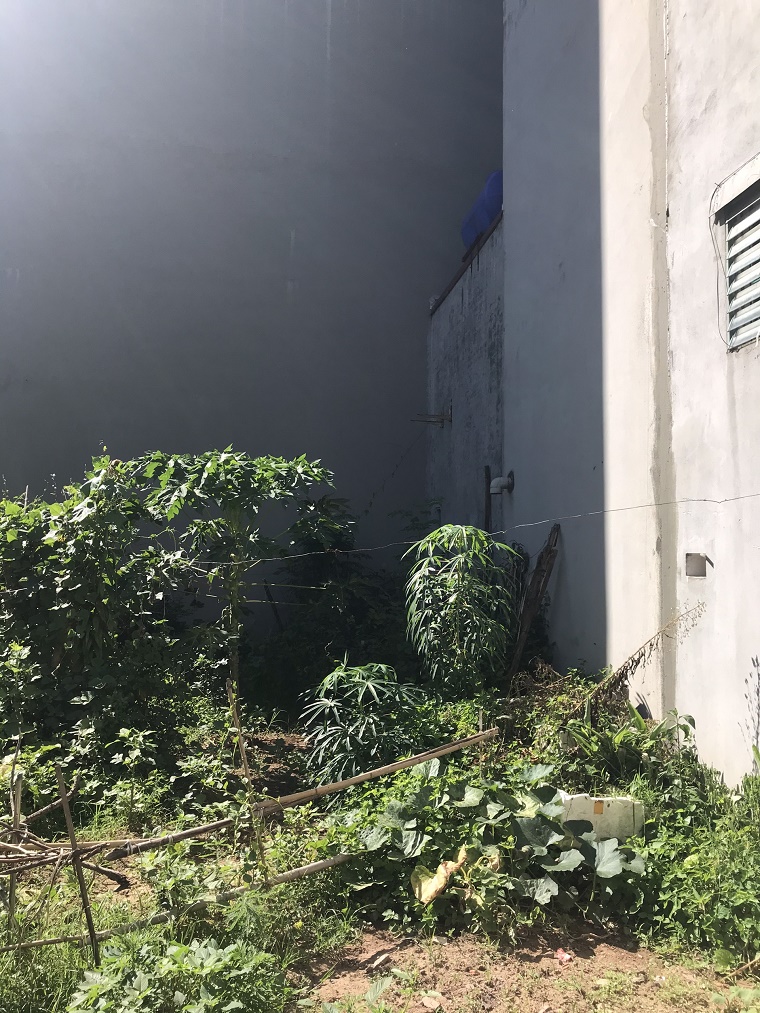 BÁN ĐẤT YÊN NGHĨA, Ô TÔ ĐỖ CỬA, CHỈ HƠN 30TR/M2 NHANH THÌ CÒN 11695875