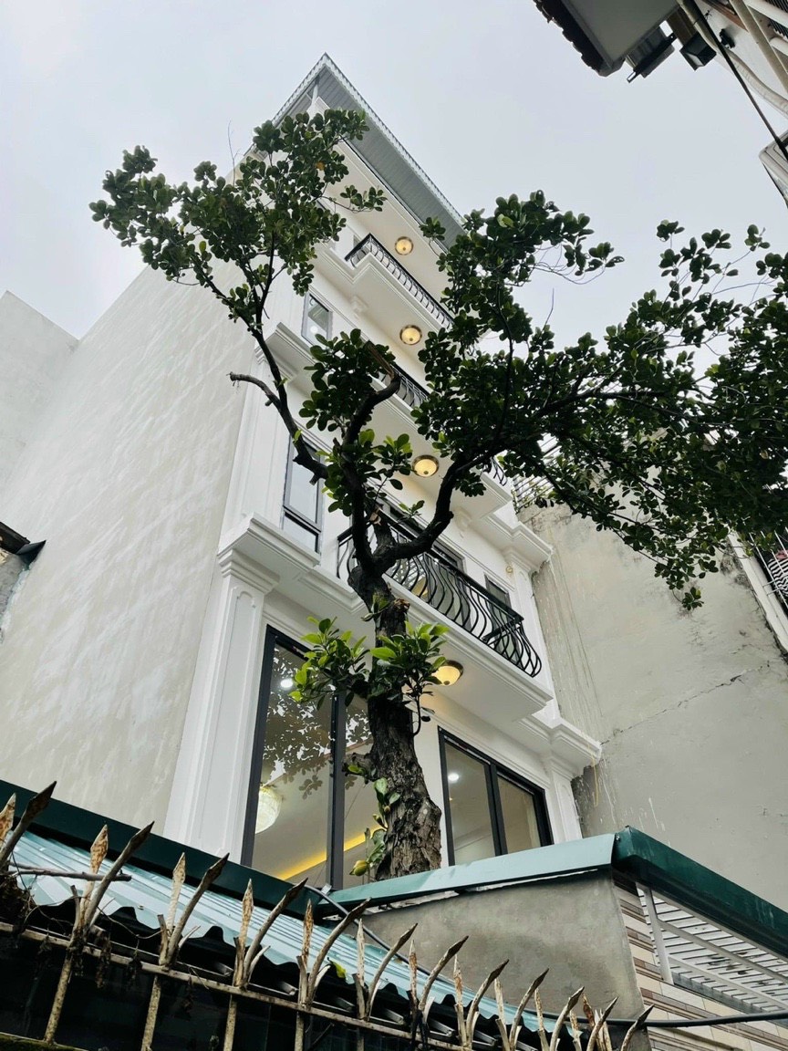 HÓT Ở NGAY PHỐ HOÀNG ĐẠO THÀNH THANH XUÂN 11698884