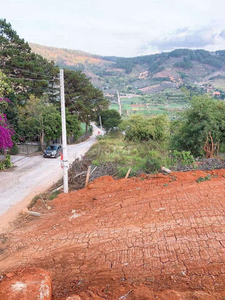 VIEW TOÀN CẢNH ĐỊNH AN XÂY KHU NGHỈ DƯỠNG HOẶC PHÂN LÔ THÌ CÒN GÌ TUYỆT VỜI HƠN Ạ, NẰM NGAY GẦN 11703105