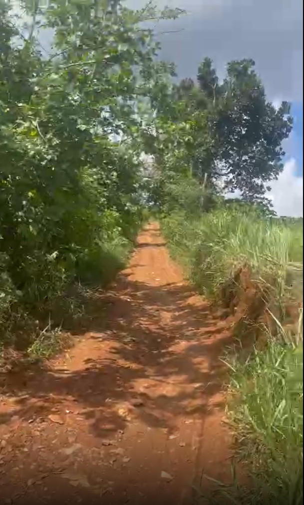 CẦN BÁN 8.7 SÀO ĐẤT VIEW NGHỈ DƯỠNG TẠI LIÊN ĐẦM – DI LINH – LÂM ĐỒNG. LIÊN HỆ: 0938672999 11710340