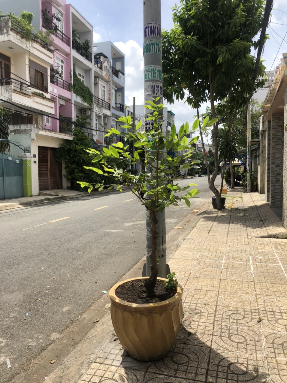 BÁN NHÀ 199, LÊ LÂM, PHÚ THẠNH, TÂN PHÚ, HCM 11720153