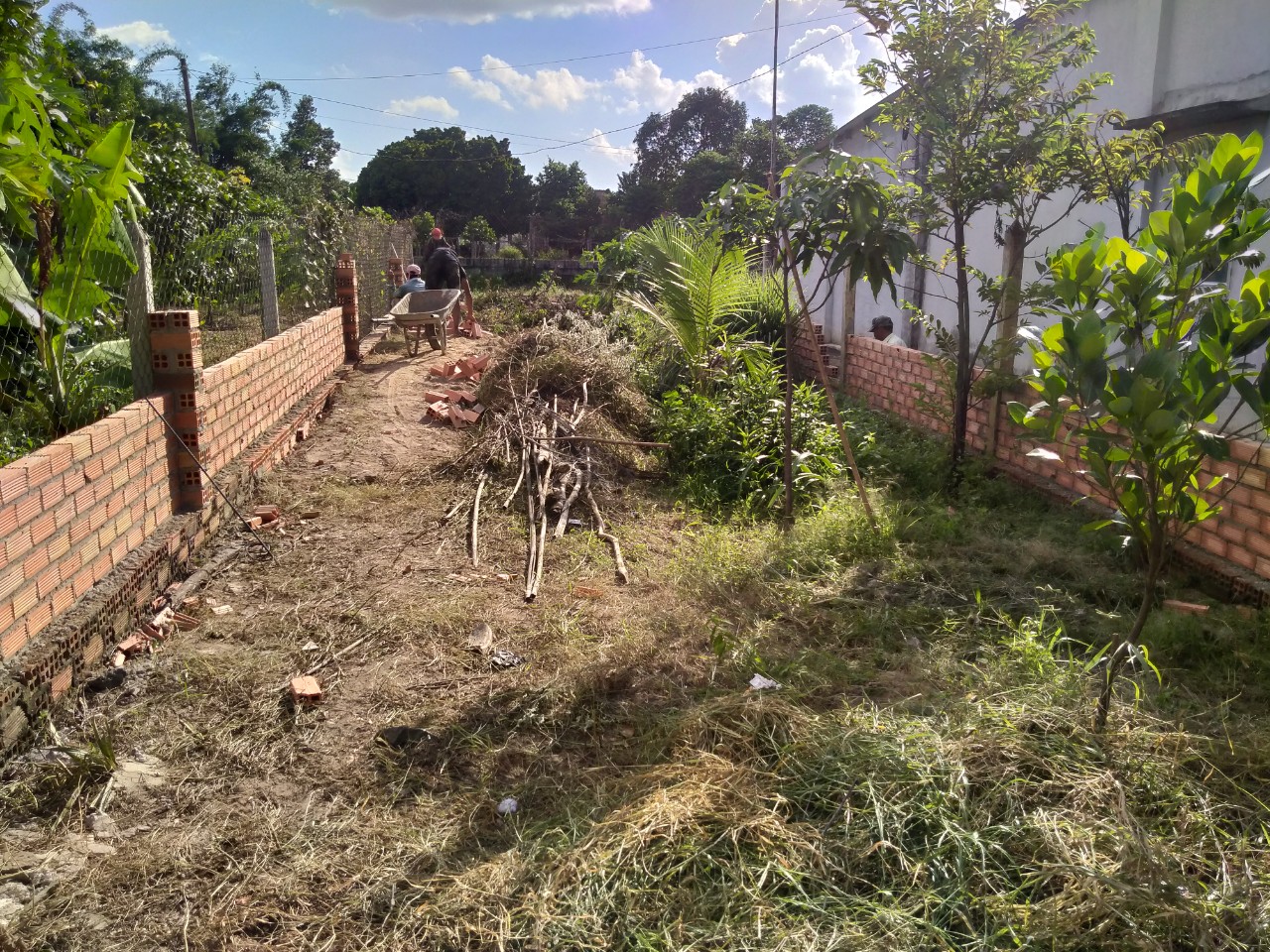 CẦN BÁN ĐẤT THÁI MỸ - CỦ CHI 9466M2. 11723294