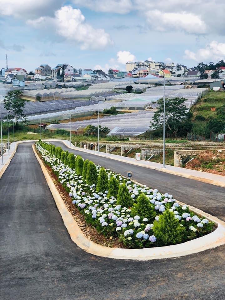 CHÍNH CHỦ BÁN ĐẤT NỀN BIỆT THỰ VILLA TONW ĐƯỜNG VÒNG LÂM VIÊN P8 TP. ĐÀ LẠT. 11724992