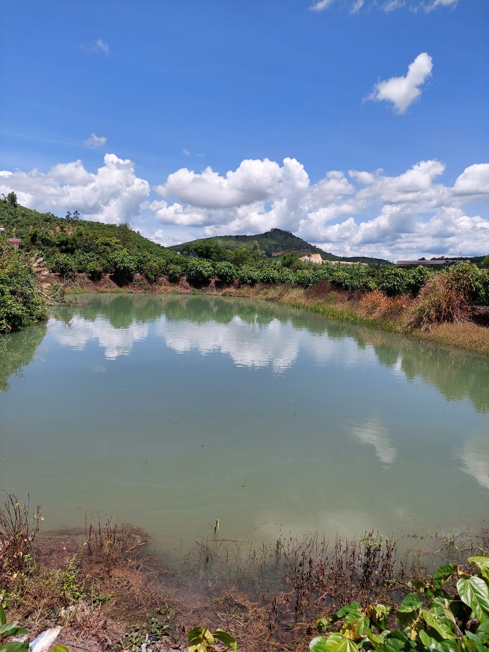 CẦN BÁN LÔ ĐẤT ĐẸP THÔN HAI BÀ TRƯNG, XÃ NAM HÀ, HUYỆN LÂM HÀ, LÂM ĐỒNG.LIÊN HỆ TRỰC TIẾP : 11727097