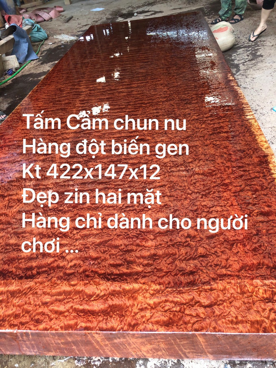 Công Ty CP Tập Đoàn Tam Phát XIN KÍNH CHÀO QUÝ KHÁCH 11738921