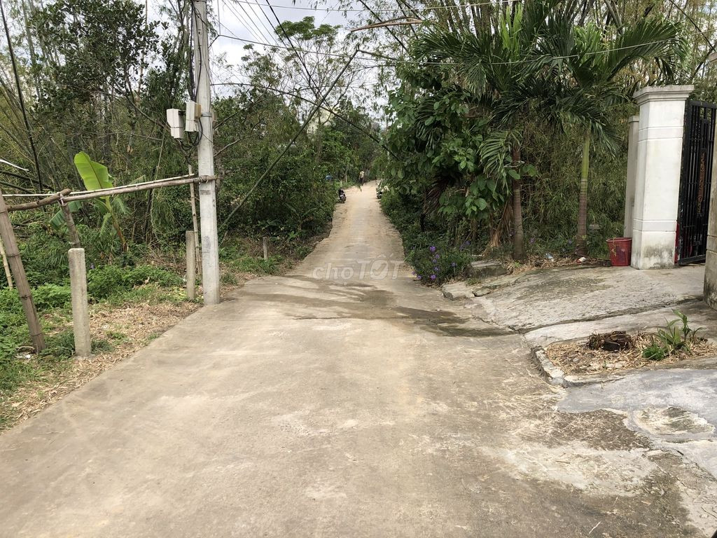 Đất chính chủ thôn Phú Hòa 1, Hòa Nhơn, Hòa Vang 11753002