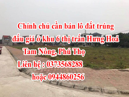 Chính chủ cần bán lô đất trúng đấu giá ở khu 6 thị trấn Hưng Hoá, Tam Nông, Phú Thọ 11761583