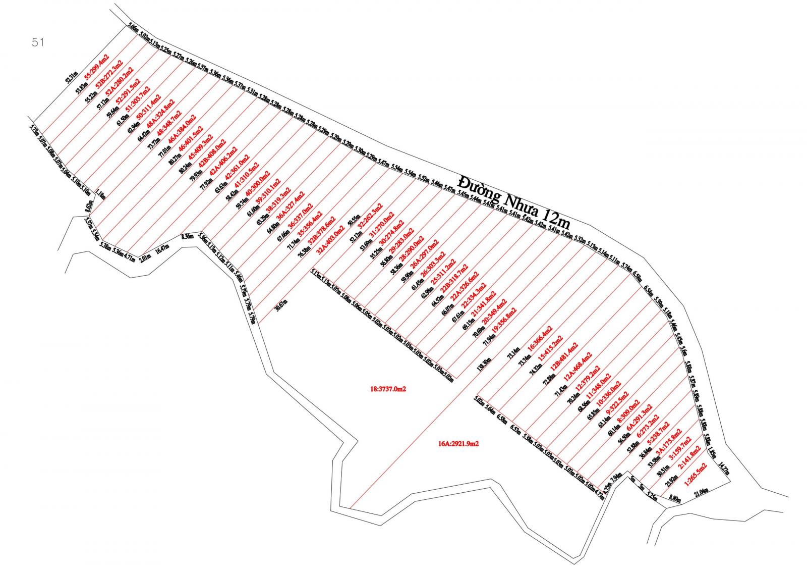ĐẤT SỔ HỒNG 300M2 (5X60) ĐỒNG PHÚ - BÌNH PHƯỚC 11767218