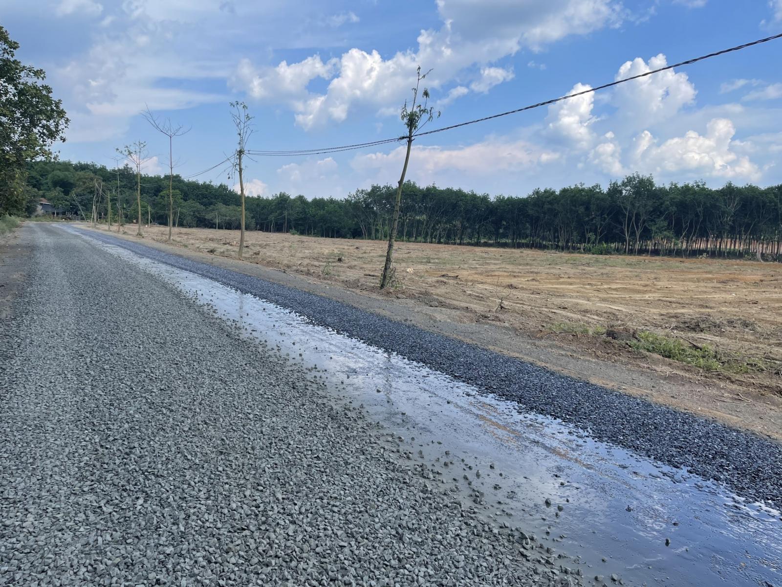 ĐẤT SỔ HỒNG 300M2 (5X60) ĐỒNG PHÚ - BÌNH PHƯỚC 11767218