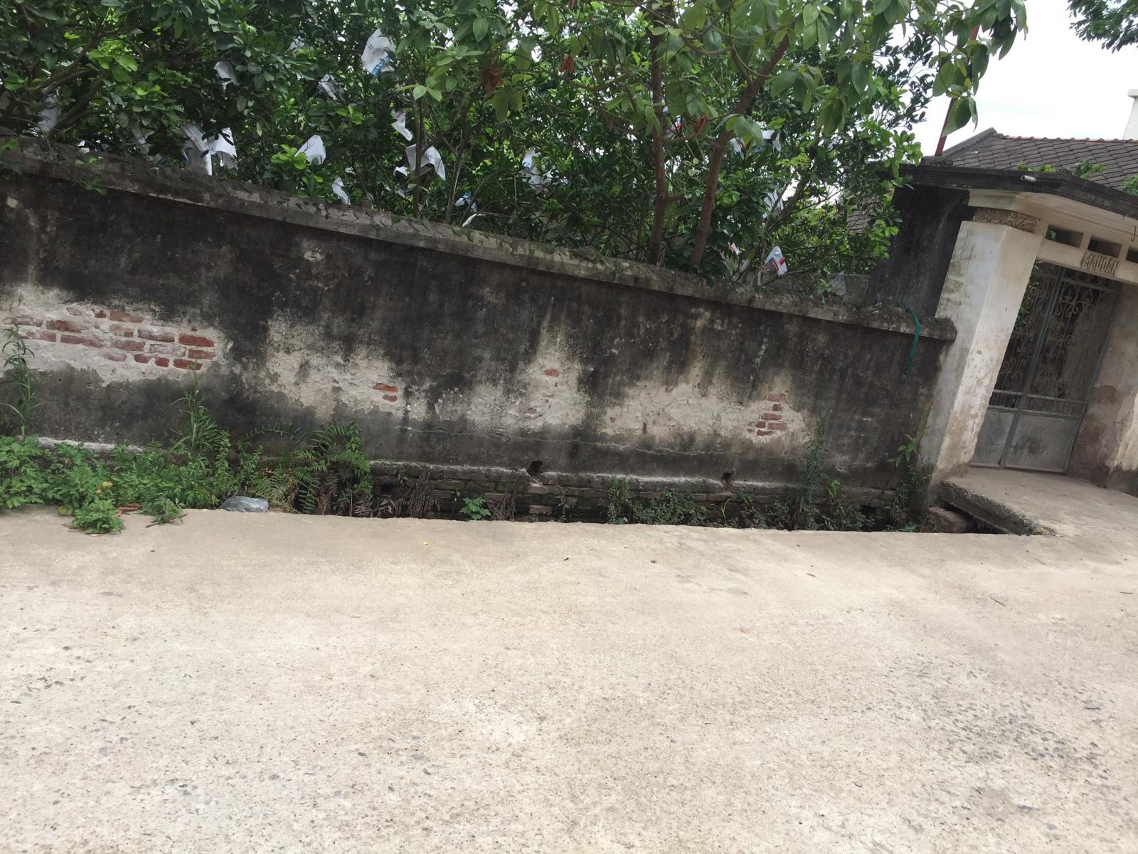 Bán mảnh đất xóm 2 xã Chương Dương-Thường Tín-Hà Nội 11880358