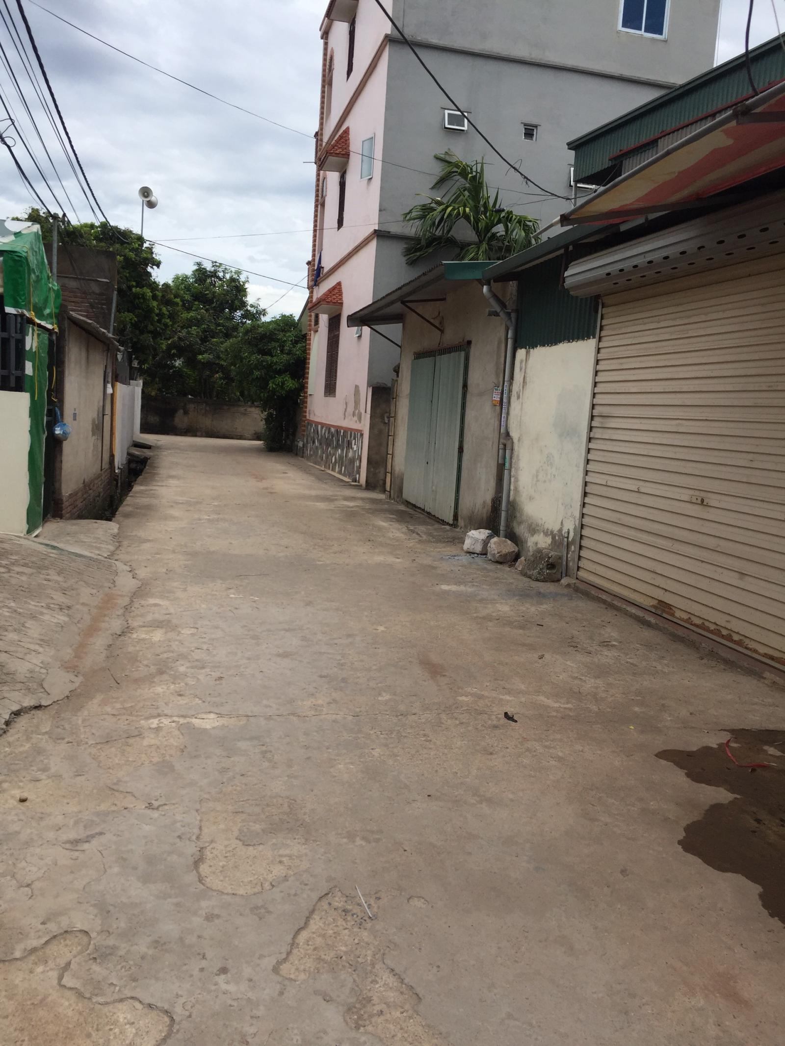 Bán mảnh đất xóm 2 xã Chương Dương-Thường Tín-Hà Nội 11880358